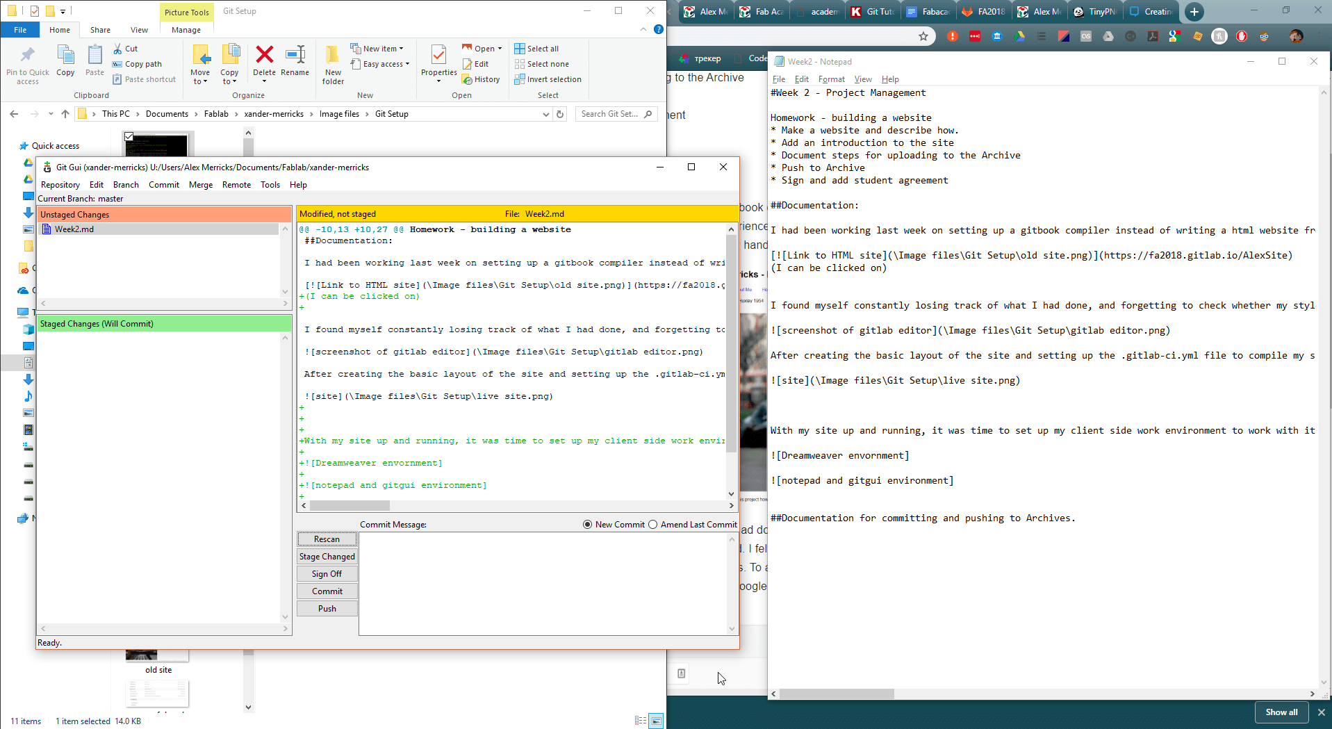 notepad and gitgui environment